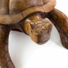 Carved Tortoise-Ornaments & Figurines-Siesta Crafts