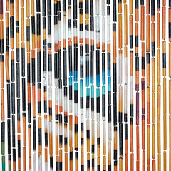 Bamboo Bead Curtain - Tiger