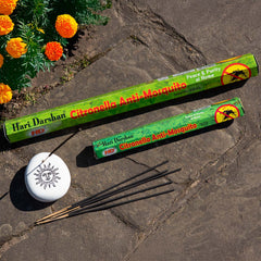 Long Hari Citronella Incense-Stick Incense-Siesta Crafts