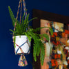 Recycled Sari Plant Hanger Small-Plant Pots, Vases & Hangers-Siesta Crafts
