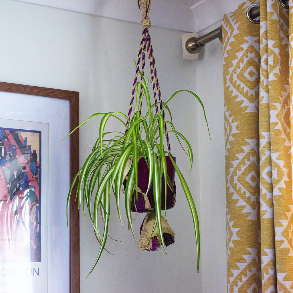 Recycled Sari Plant Hanger Small-Plant Pots, Vases & Hangers-Siesta Crafts