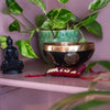Mustang Black Singing Bowl-Singing Bowls-Siesta Crafts