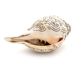 Etched Conch Shell - Avalokiteswora-Buddhism-Siesta Crafts