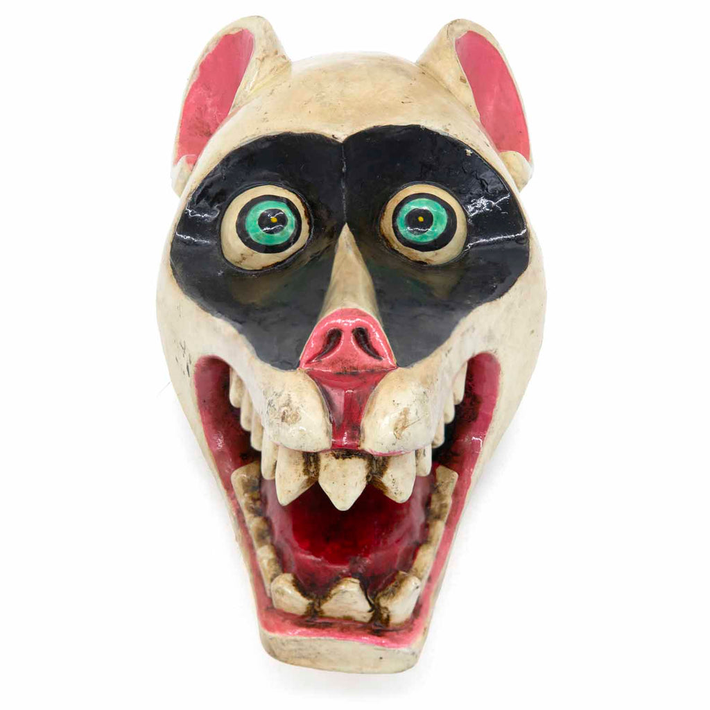 Hand-Carved Nepalese Raccoon Mask-Home Décor-Siesta Crafts