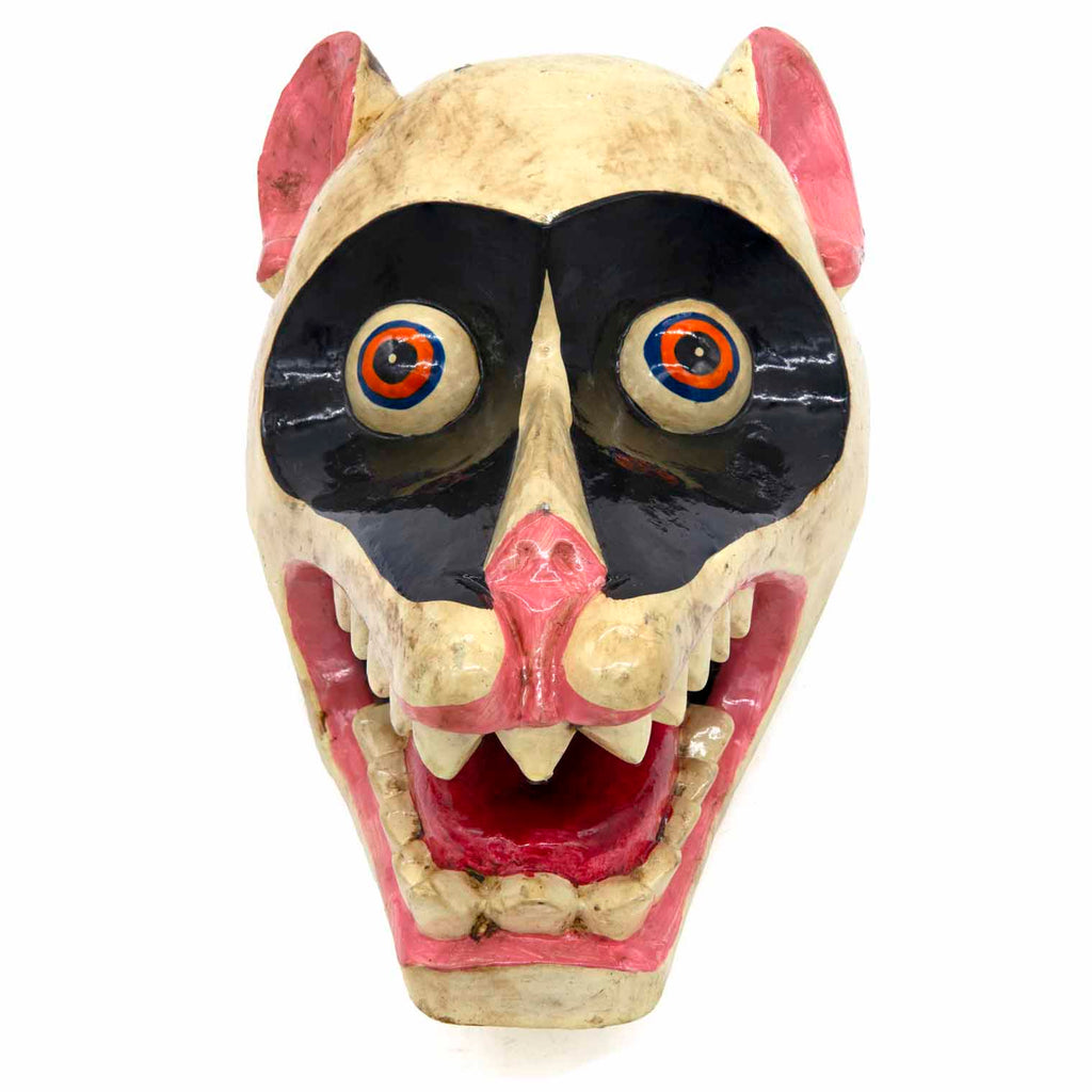 Hand-Carved Nepalese Raccoon Mask-Home Décor-Siesta Crafts