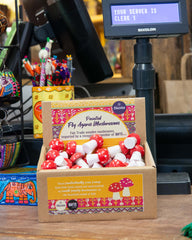 Mini Mushrooms-POS Boxes-Siesta Crafts