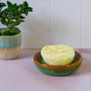 Sea Urchin Soap Dish-Bathroom-Siesta Crafts