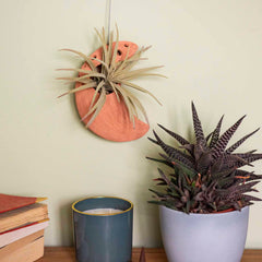 Moon Ceramic Air Plant Hanger-Plant Pots, Vases & Hangers-Siesta Crafts