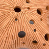 Star Ceramic Air Plant Hanger-Plant Pots, Vases & Hangers-Siesta Crafts