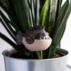 Piranha Fish Ceramic Plant Pot Buddy-Ornaments & Figurines-Siesta Crafts