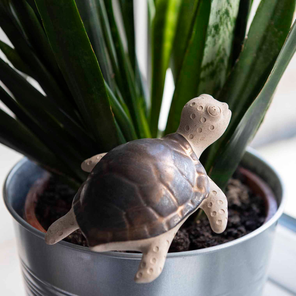 Turtle Ceramic Plant Pot Buddy-Ornaments & Figurines-Siesta Crafts