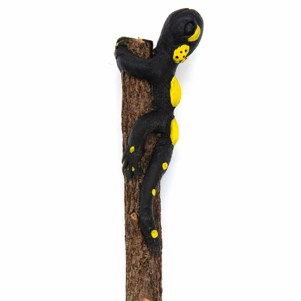 Fire Salamander Sawdust Pencil