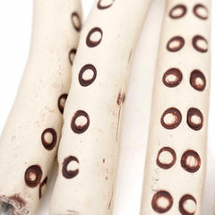 Tentacles Ceramic Plant Pot Decoration - Set of Three
