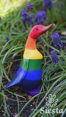 Rainbow Duckling
