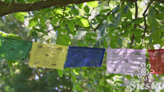Tibetan Prayer Flags - Long