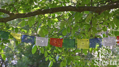 Budget Prayer Flags