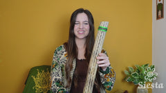 Medium Chilean Cactus Rainstick